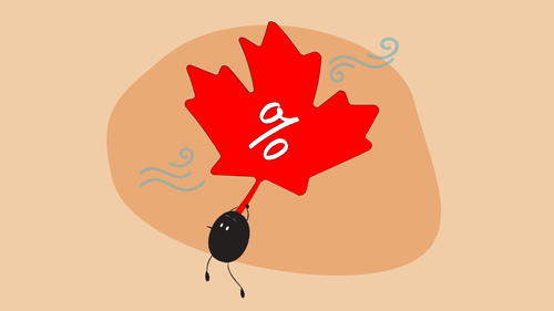 Illustrator of Qoodle flying with a leaf